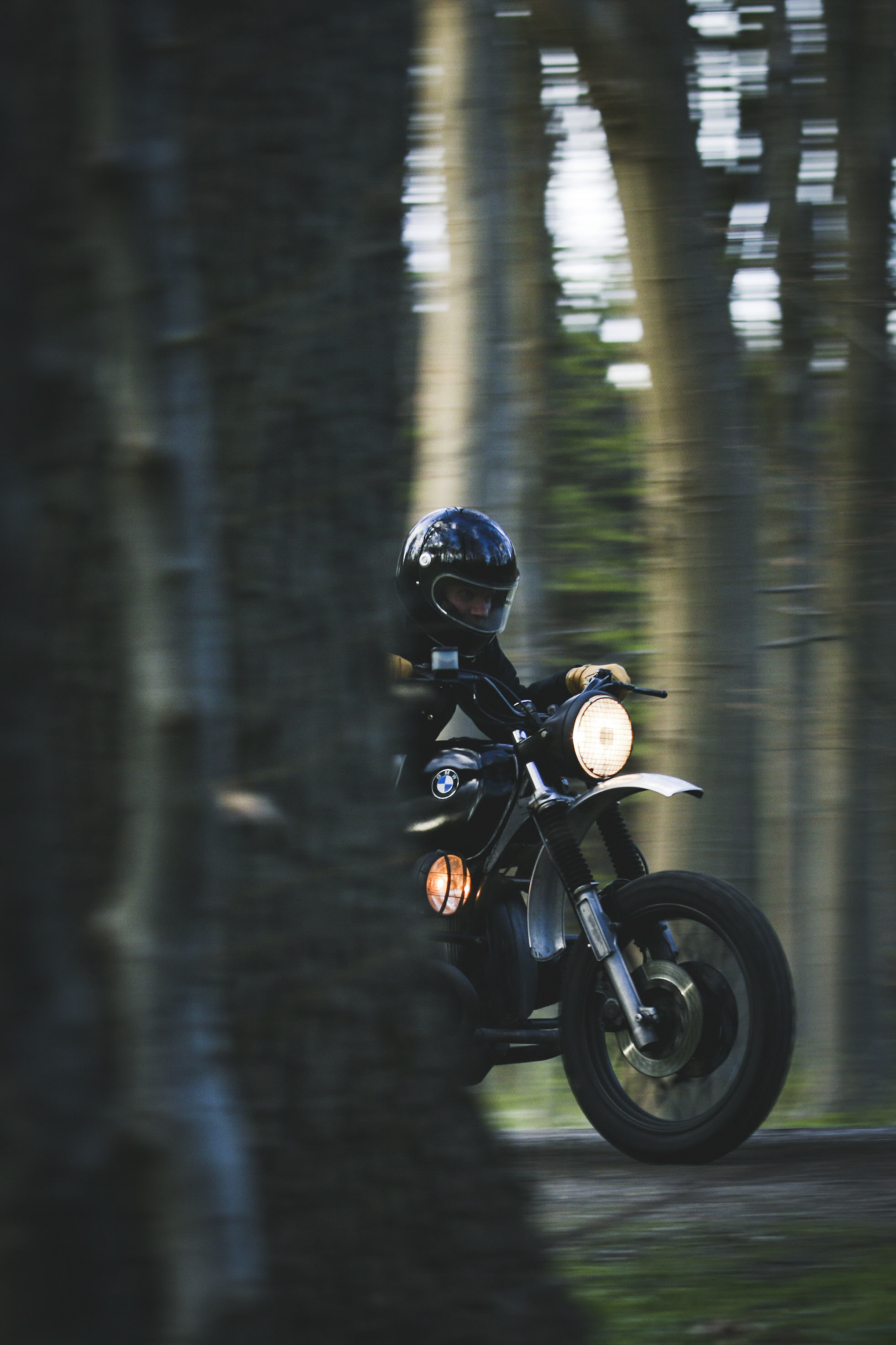 Kenneth in the woods, Denmark